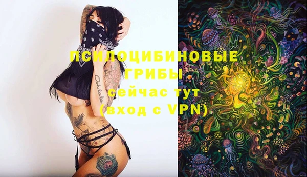 мяу мяу мука Армянск