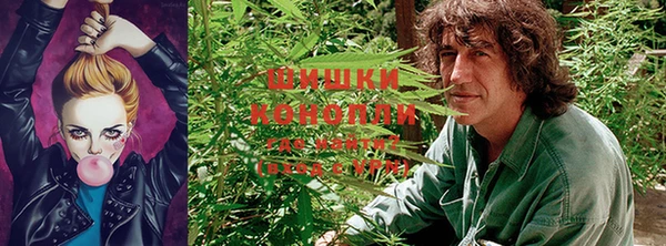 эйфоретик Арсеньев