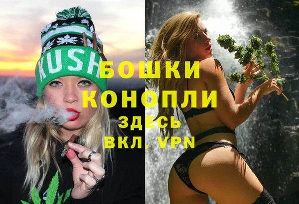 эйфоретик Арсеньев
